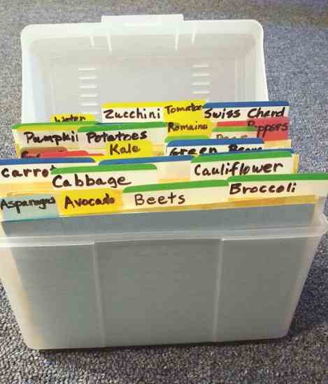 
Instead of traditional categories, such as soups, breads, and casseroles, the sections in Susan's new recipe box system list recipes alphabetically by individual vegetable.
